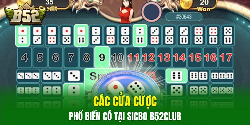 Các cửa cược phổ biến có tại sicbo B52club