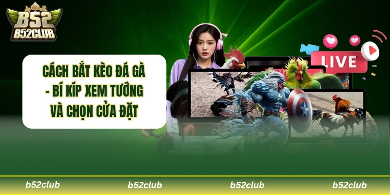 Cách Bắt Kèo Đá Gà