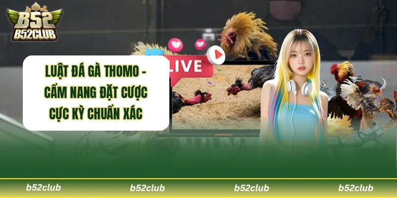 Luật Đá Gà Thomo