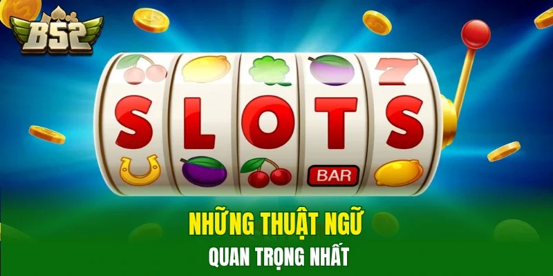Những thuật ngữ quan trọng nhất