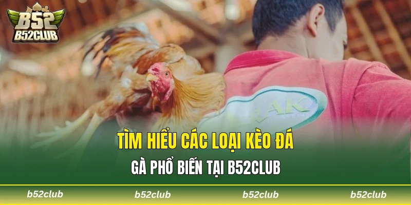 Tìm hiểu các loại kèo đá gà phổ biến tại B52club
